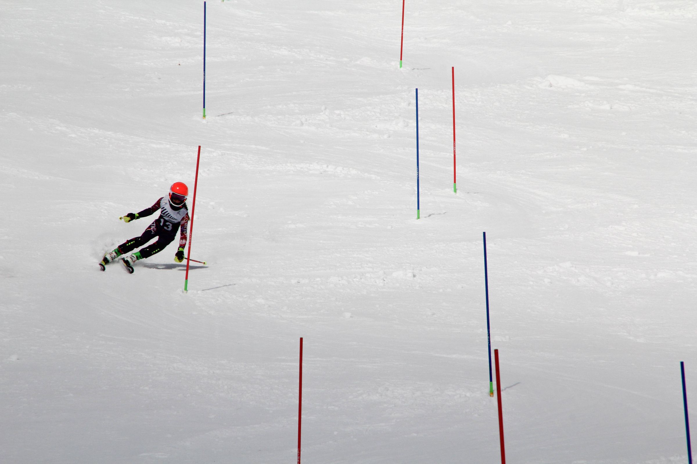 A slalom course set down the mountain, Isla mid-run in the distance